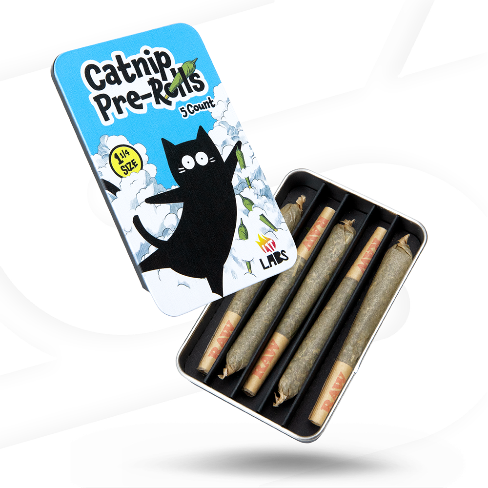 Lit Labs Catnip 1-1/4 Pre-Rolls Cones Lifestyle LITK-CTCC-1401 esd-official