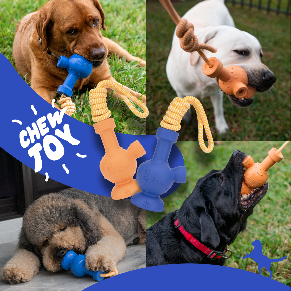 LitLabs Pooch Puffer Dog Toy | Orange Lifestyle LITU-DTRT-OY01 esd-official